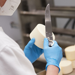 4 paso en la fabricación del queso de abredo